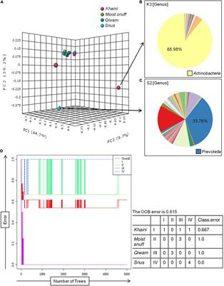 Bacteriome of Moist Smokeless Tobacco Products Consumed in India With Emphasis on the Predictive Functional Potential